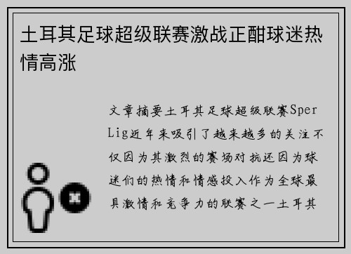 土耳其足球超级联赛激战正酣球迷热情高涨